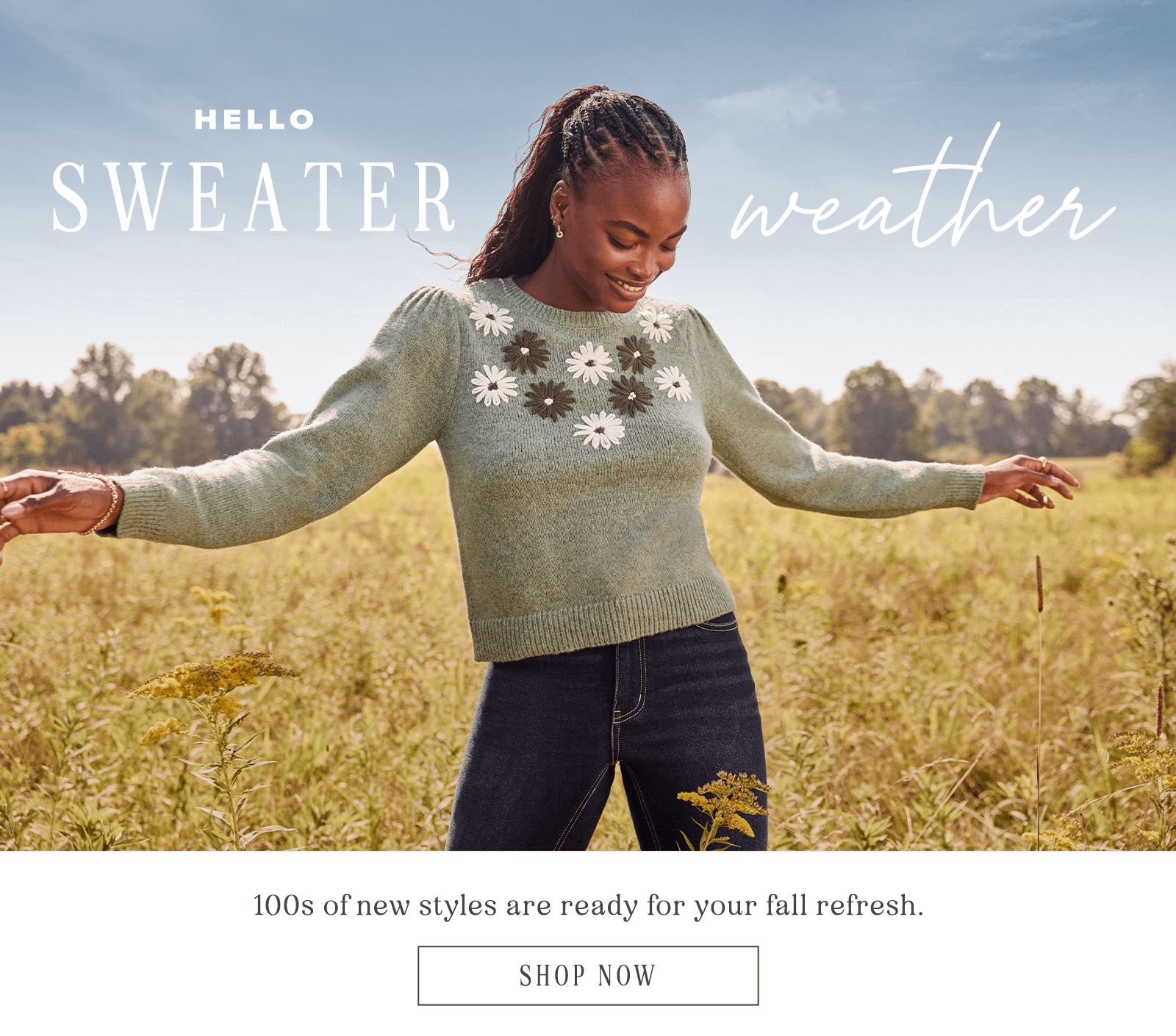 Hello Sweater Weather. Click here to shop all sweaters.