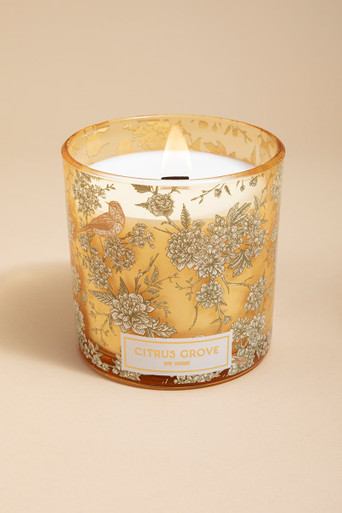 DW Home Secret Garden Citrus Grove 12oz Scented Candle