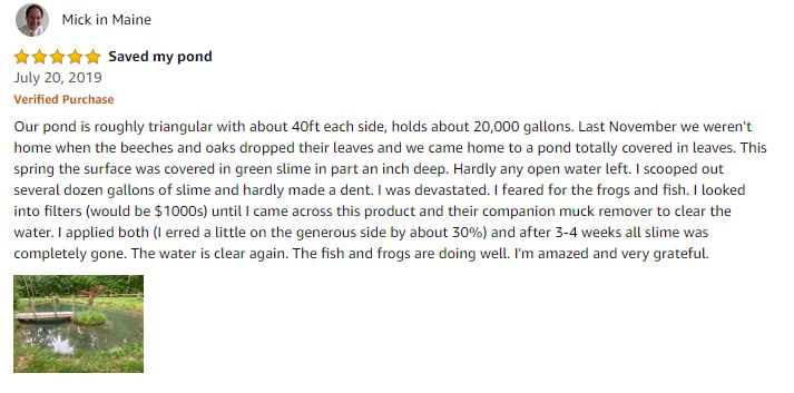 Pond Clarifier Review