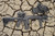 fab defense foregrip bipod with integrated flashlight