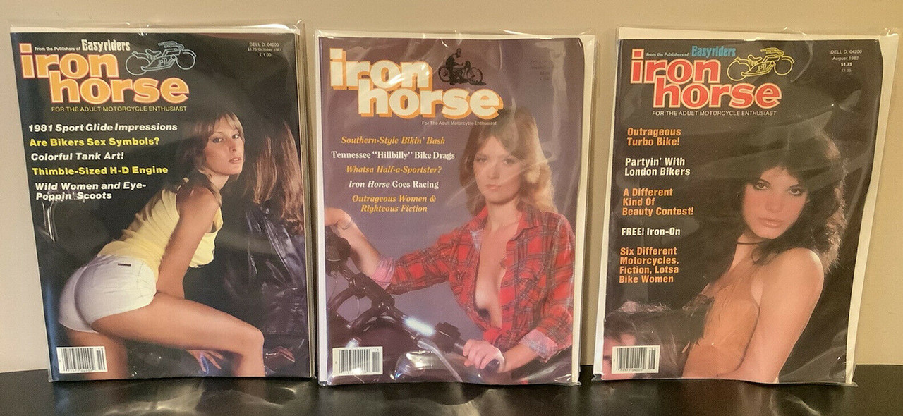 Iron Horse , Easyriders Magazine, Vintage, 1980's, David Mann, bikers, coolintocash.com, shopthegarage.com, Bingo's Swap Meet Garage