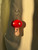 Ruby Mushroom
