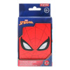 SpiderMan playing cards