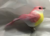Pink sparrow bird