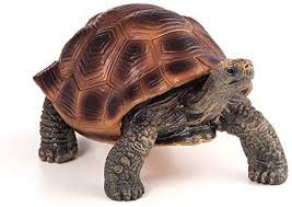 tortoise figure