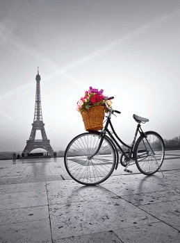 Clementoni romantic promenade in Paris 500 piece jigsaw