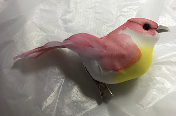 Pink sparrow bird