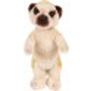 Meerkat small Meerkat small