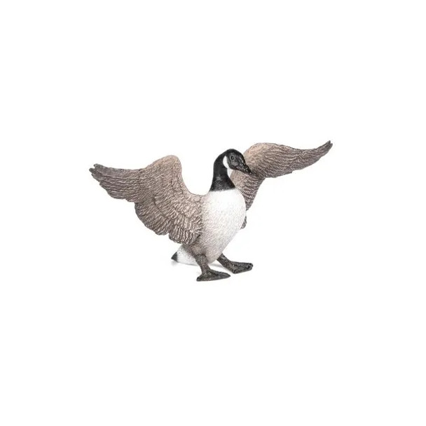 Canadian goose