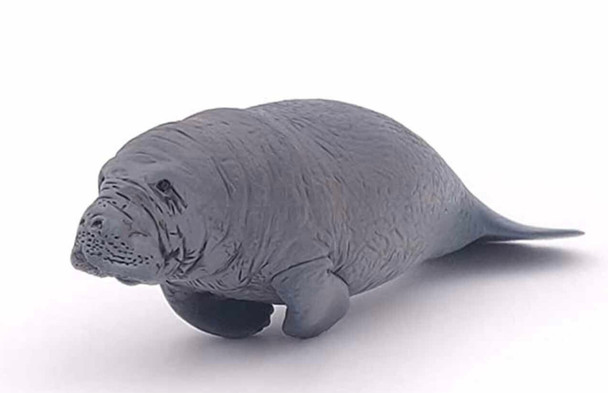 Manatee papo