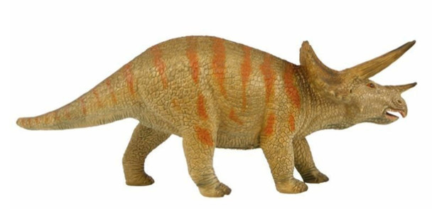 Triceratops natural history museum dinosaur