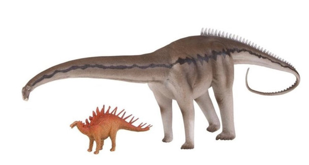 Diplodocus and kentrosaurus natural history museum