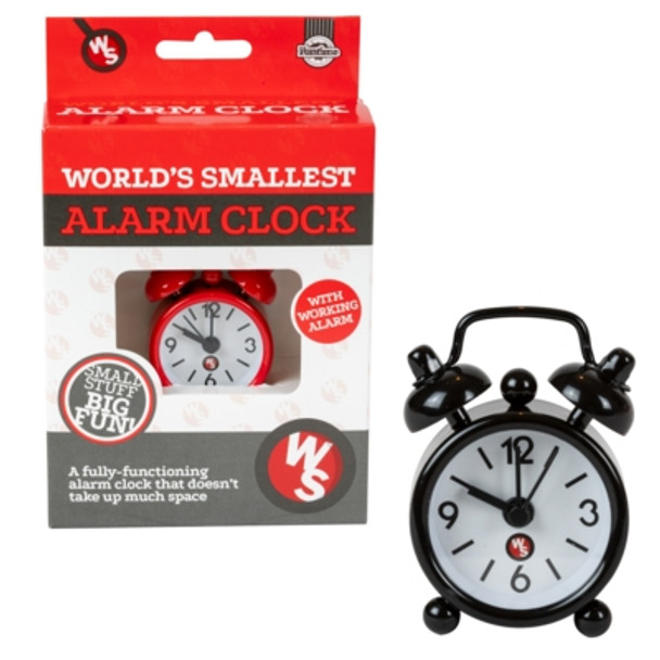 Worlds smallest clock