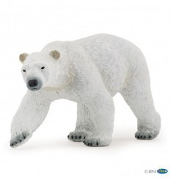 polar bear