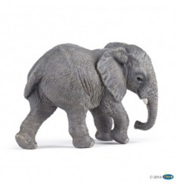 young african elephant