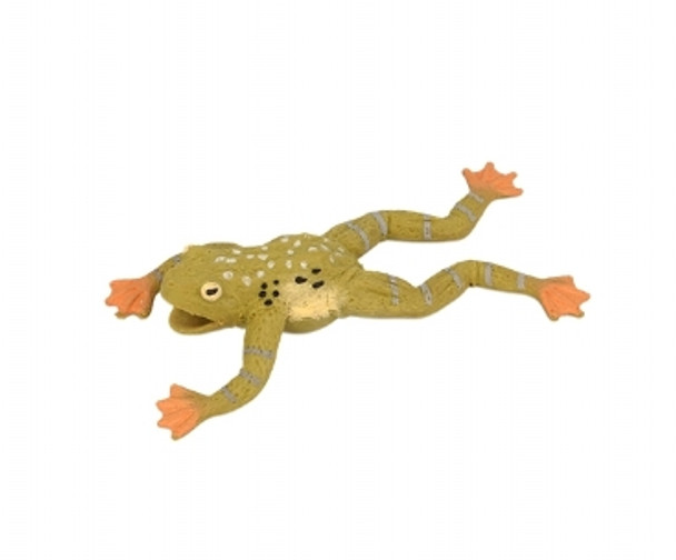 Stretchy frog