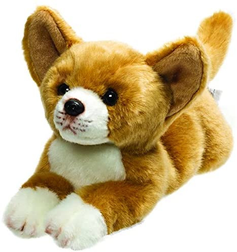 chihuahua soft toy