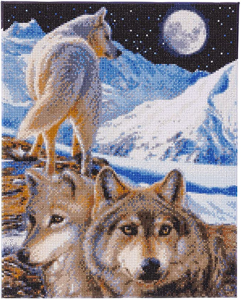 Crystal art The Sentinel 40 x 50 canvas Crystal art The Sentinel 40 x 50 canvas