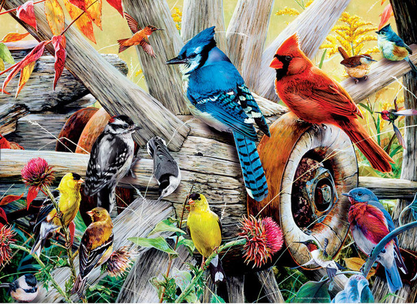 Masterpieces Puzzle Audubon Backyard Birds Puzzle 1000 pieces