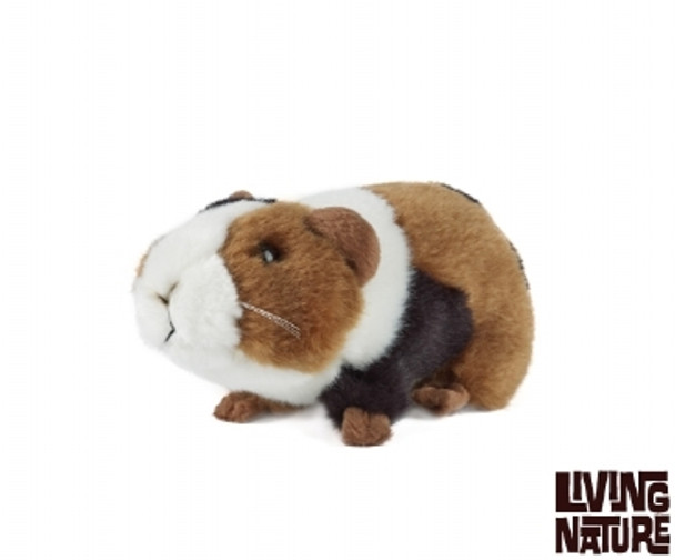 Living nature guinea pig