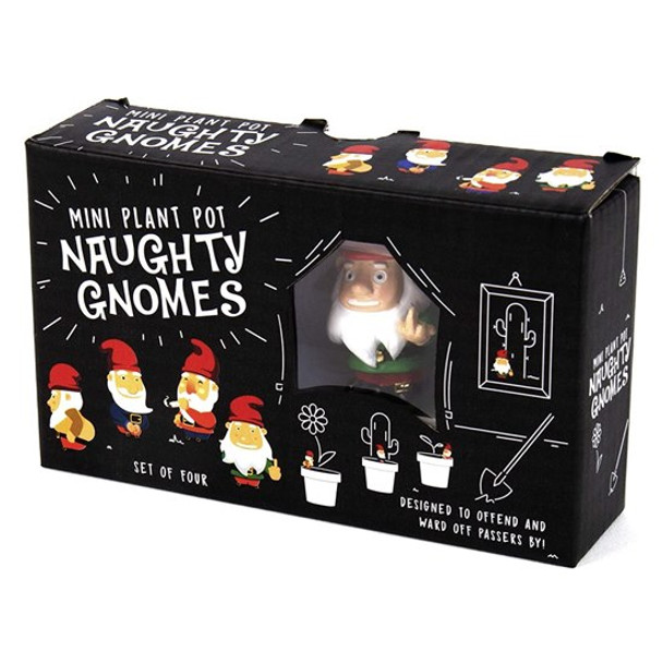 Naughty Gnomes