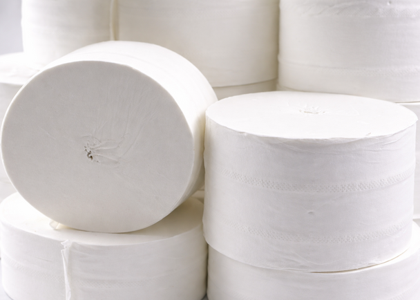 Coreless Toilet Rolls 2 Ply White Case of 36 Rolls