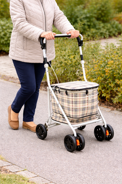 Folding Shopping Trolley/Rollator with Seat & Back Rest in Brown Check