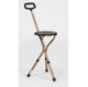 Adjustable Height Folding Walking Stick Cane Seat for resting when out