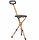 Adjustable Height Folding Walking Stick Cane Seat for resting when out