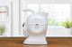 All White Uccello Electric Kettle The Easy Pour Safe Senior / Disability Tipping Kettle