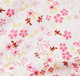 Dream Cottage Floral - Smocked Top with Bloomer
