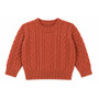toddler boys pumpkin spice cable knit sweater