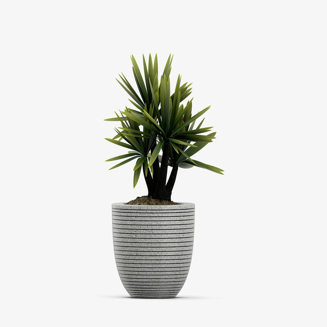 (Product 23) Sample - Furniture and  Ornaments For Sale