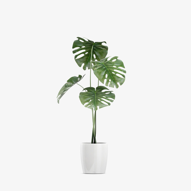 (Product 23) Sample - Furniture and  Ornaments For Sale