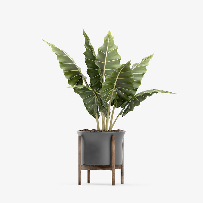 (Product 45) Sample - Furniture and  Ornaments For Sale