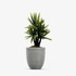 (Product 23) Sample - Furniture and  Ornaments For Sale