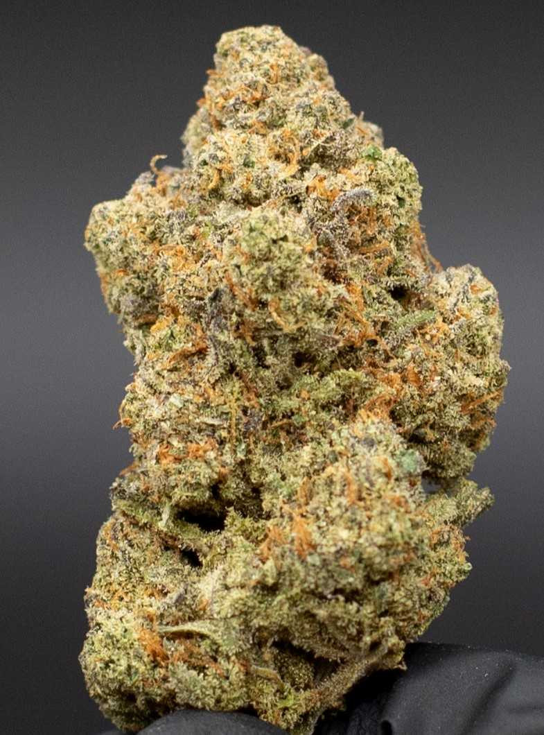 Austin Haze - 25% CBD Exotic Indoor Hemp Flower