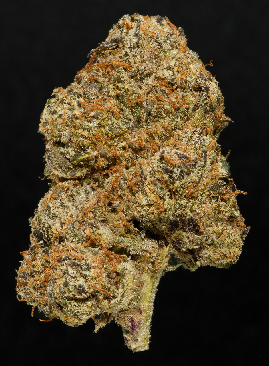 Lambo OG - 24% THCa Hydroponic Hemp Flower