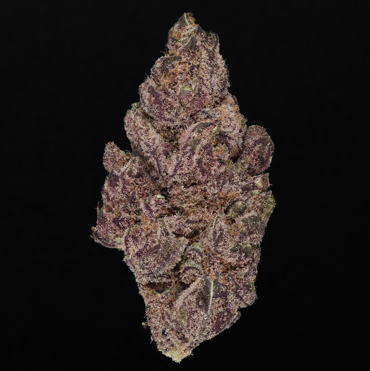 Halle Berry - 25% THCA Hydro Hemp Flower