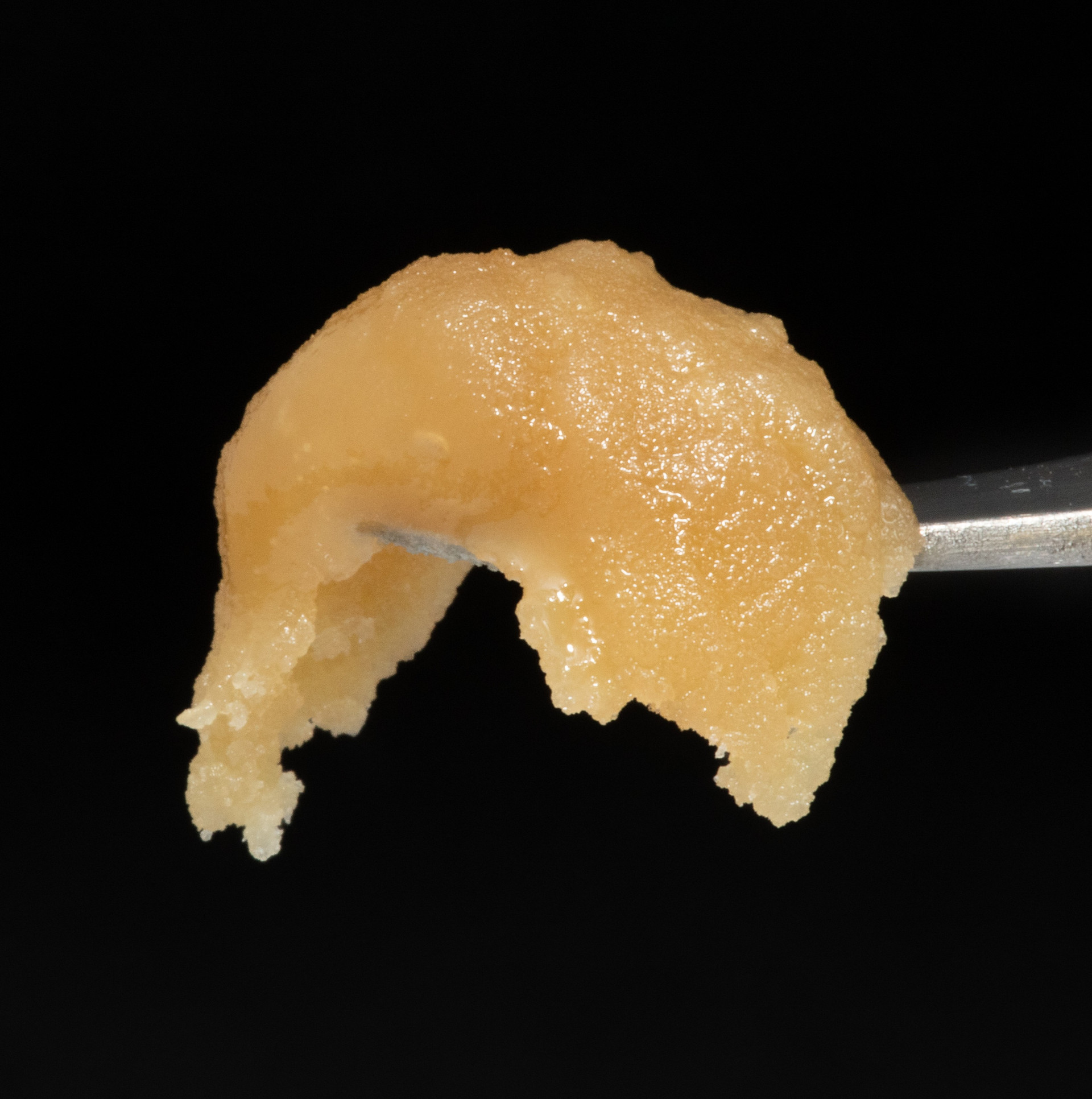 PEACHES N CREAM COLD CURE LIVE ROSIN – 90% THCA