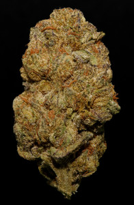 Bulk Wholesale Indoor THCa Flower