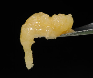 Grandaddy Purple Badder Concentrate - 80% THCA - Indica Grandaddy Purple Badder Concentrate - 80% THCA - Indica
