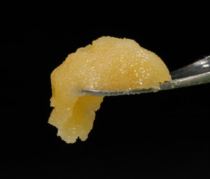 NYC Diesel Badder Concentrate - 81.40% THCA - Sativa NYC Diesel Badder Concentrate - 81.40% THCA - Sativa