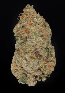 Exotic THCa Flower - Bulk Quarter Pounds