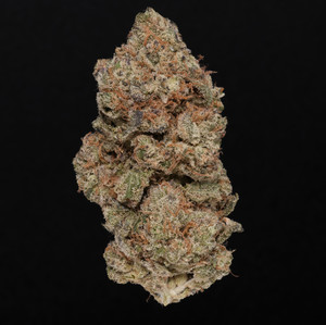 Black Amber - 23% THCa Living Soil Hemp Flower