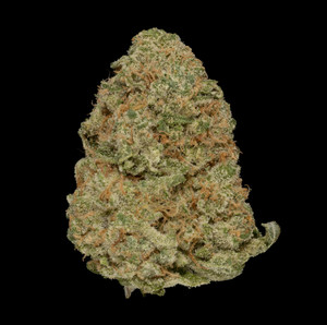 Alien Banana Cookies – 34% THCa Living Soil Hemp Flower