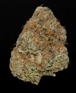 Watermelon Jealousy – 27% THCa Living Soil Hemp Flower