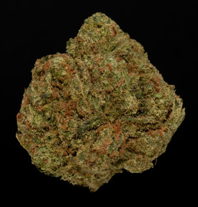 Orange Julius – 33% THCa Hydro Hemp Flower
