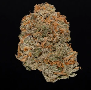 Rainbow Sherbert - 29% THCA Living Soil Hemp Flower