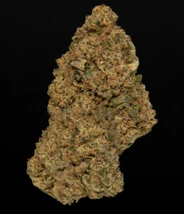 Jungle Sherb -  26% THCA Living Soil Hemp FLower
